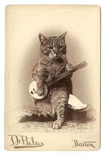 black and white photo of cat holding a banjo.
