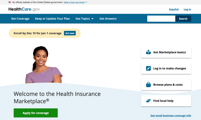 Screenshot of healthcare.gov homepage